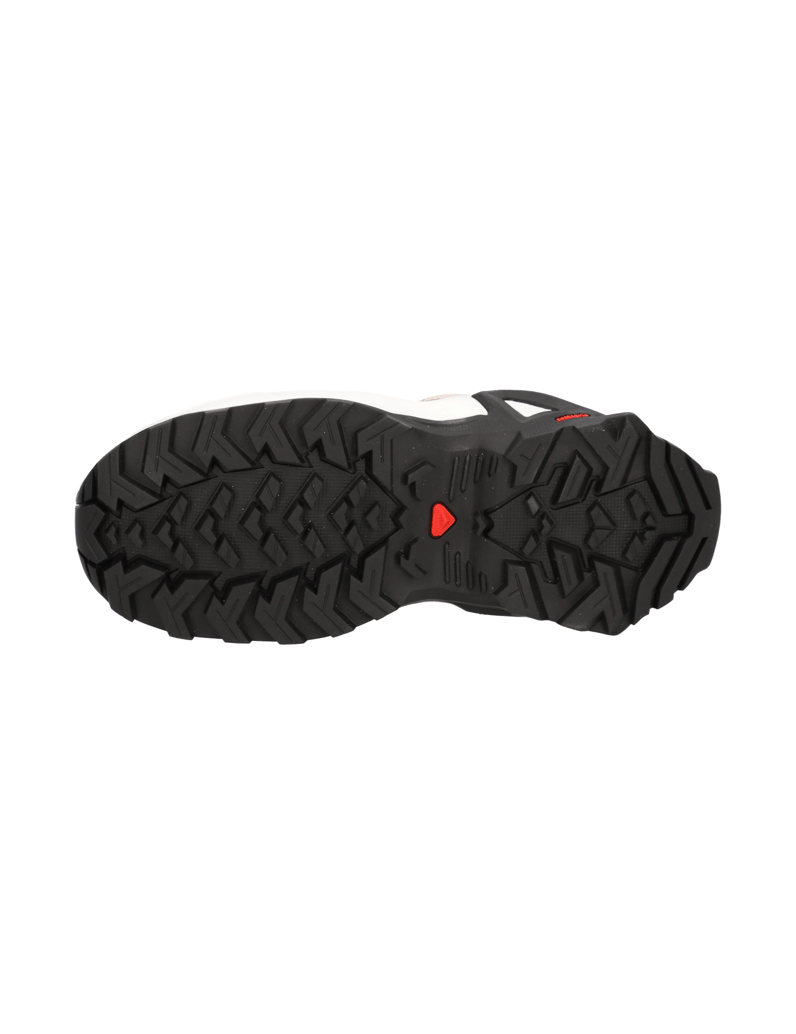 Salomon-X-RAISE-GORE-TEX