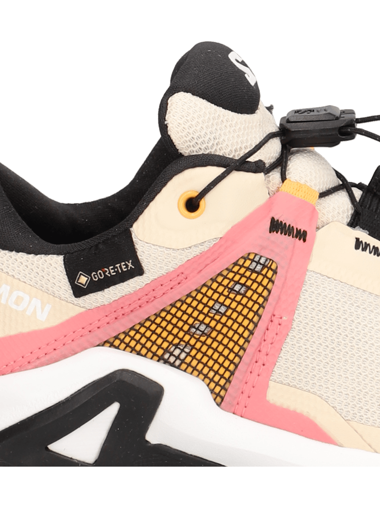 Salomon-X-RAISE-GORE-TEX