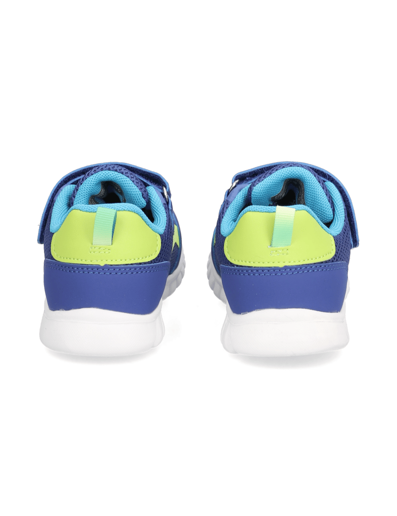 Richter-Wallaby-blau