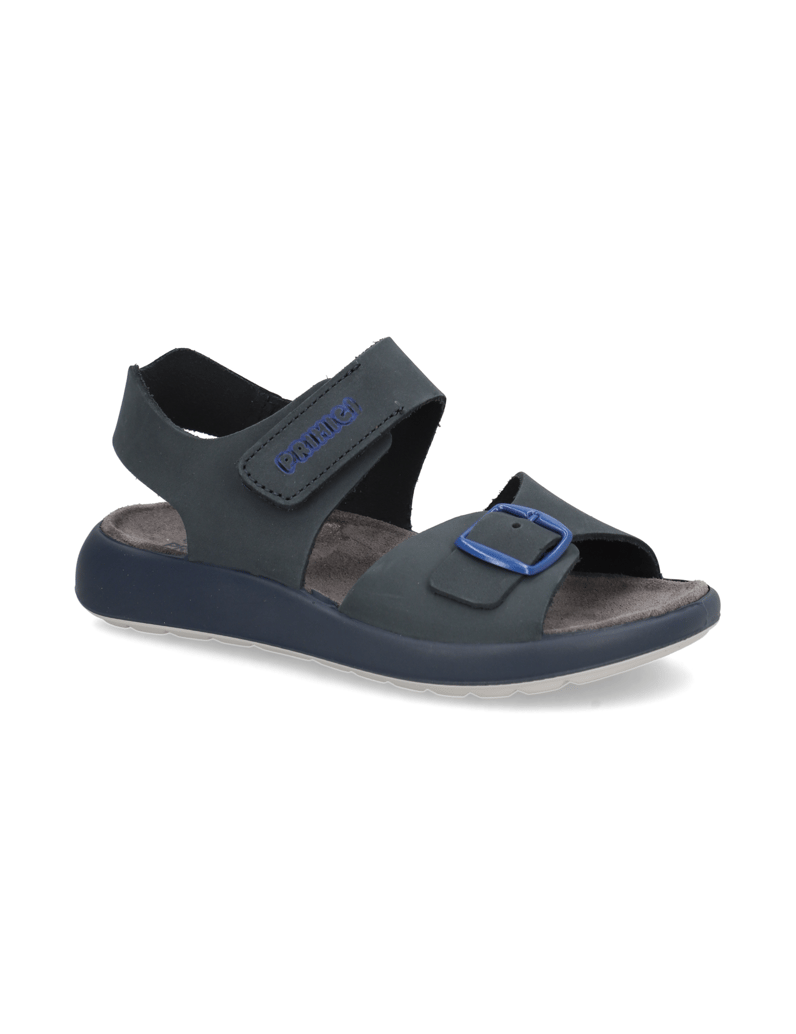 PRIMIGI-PALMER-blau