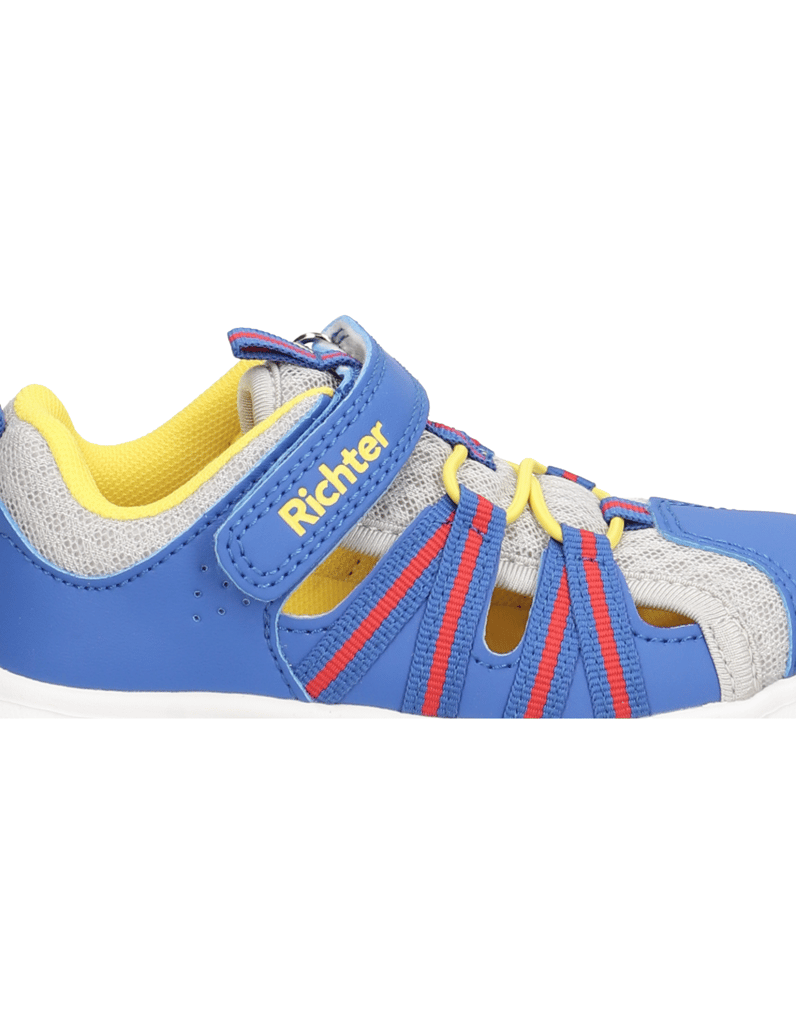 Richter-Wallaby-blau