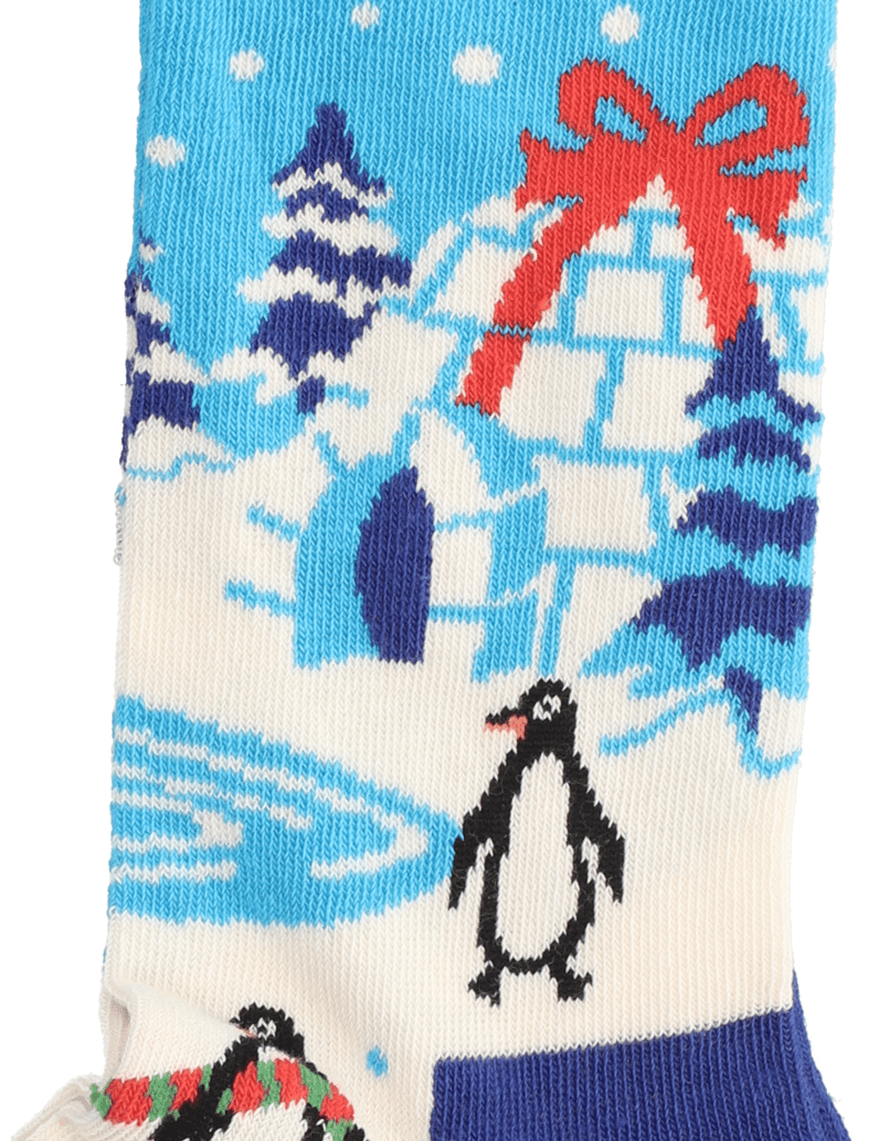 HAPPY-SOCKS-IGLOO-blau