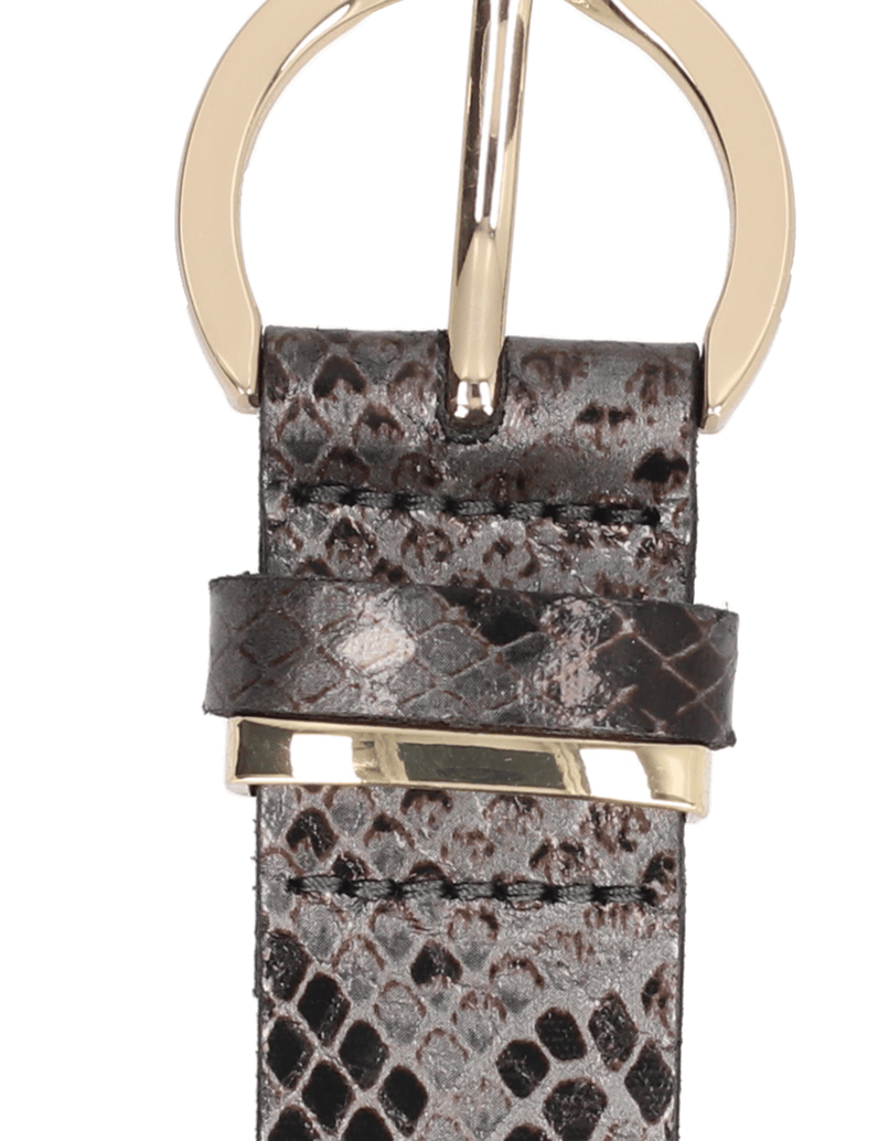 Lazzarini-SNAKE-multicolor
