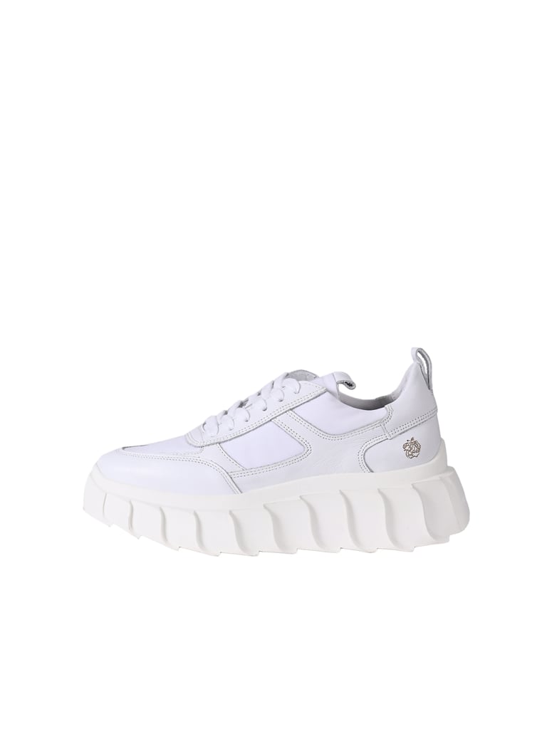 Apple-of-Eden-Sneaker-BLAIR