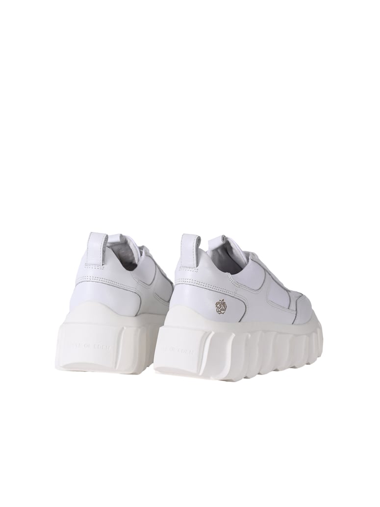 Apple-of-Eden-Sneaker-BLAIR