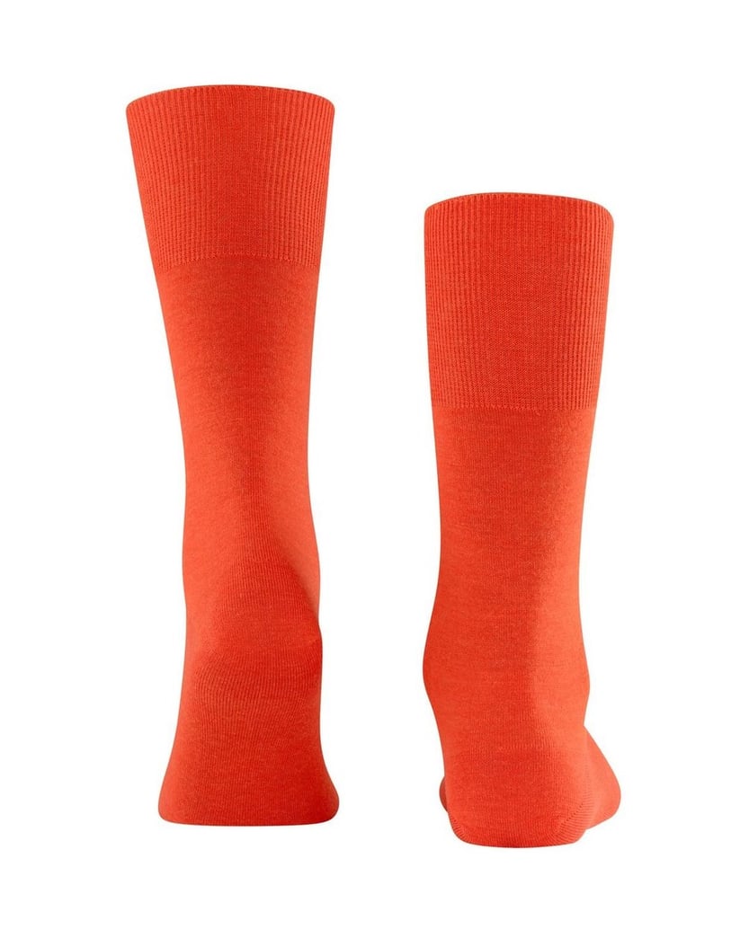 Falke-Herren-Socken-1er-Pack-grün