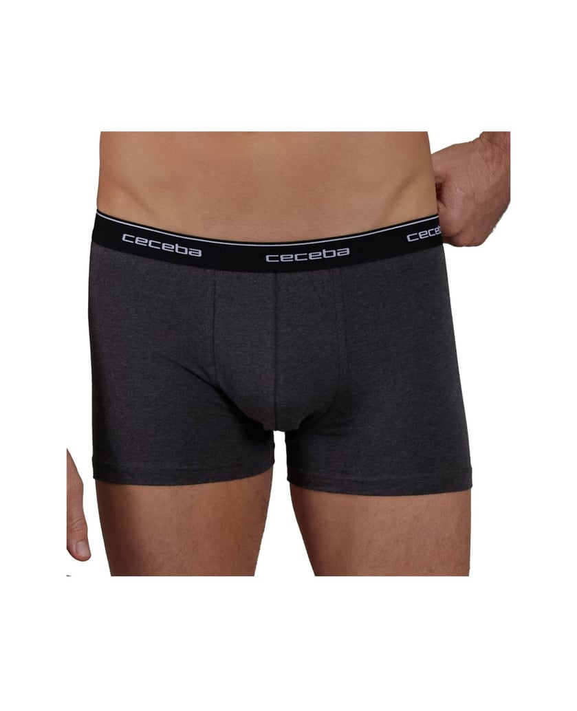 Ceceba-Herren-Boxershort-2er-Pack-Monza-grau-kombiniert