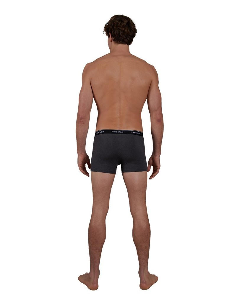 Ceceba-Herren-Boxershort-2er-Pack-Monza-grau-kombiniert
