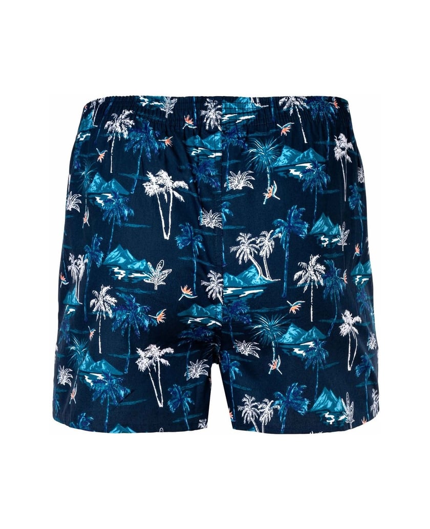 Happy-Shorts-Herren-Web-Boxershorts-1er-Pack-American-Boxershorts-mehrfarbig-