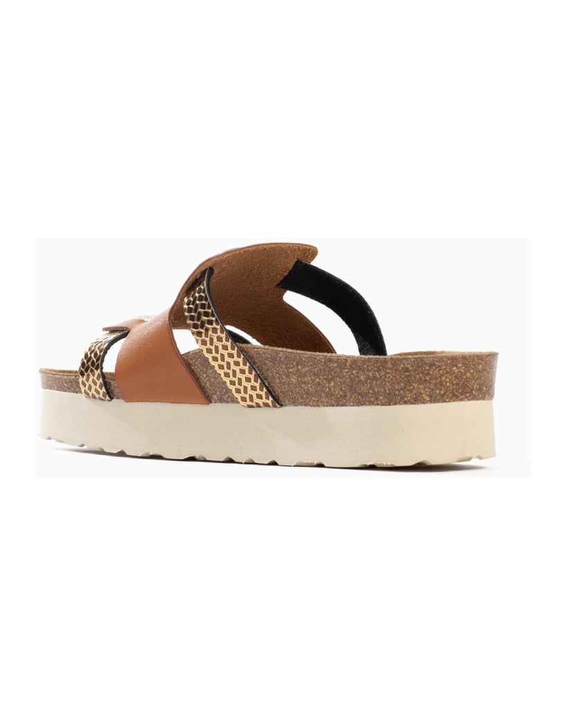 Bayton-Mules-Lecce-camel-