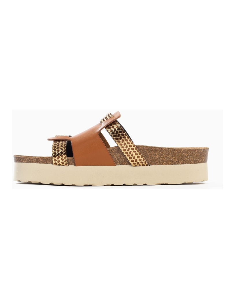 Bayton-Mules-Lecce-camel-