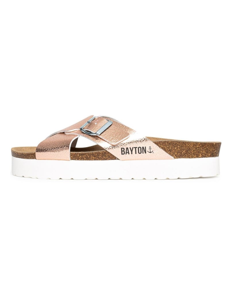 Bayton-Ajax-mules-gold