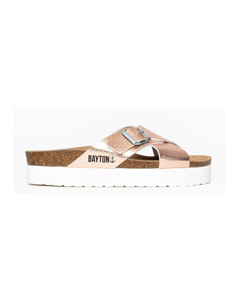 Bayton-Ajax-mules-gold