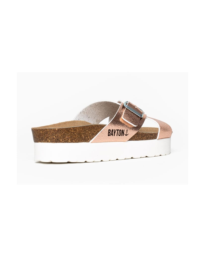 Bayton-Ajax-mules-gold