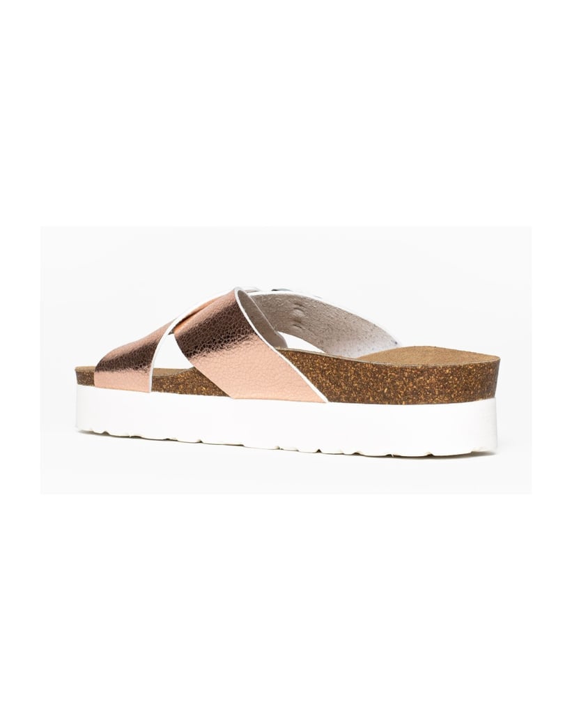 Bayton-Ajax-mules-gold