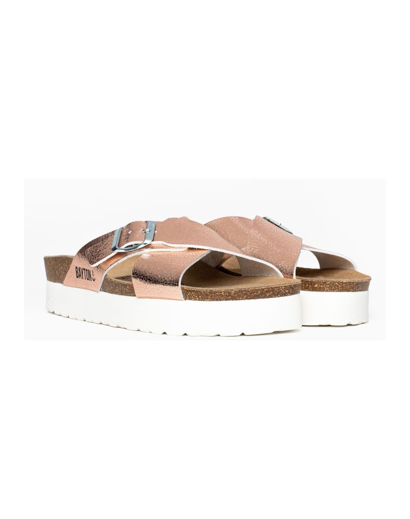 Bayton-Ajax-mules-gold
