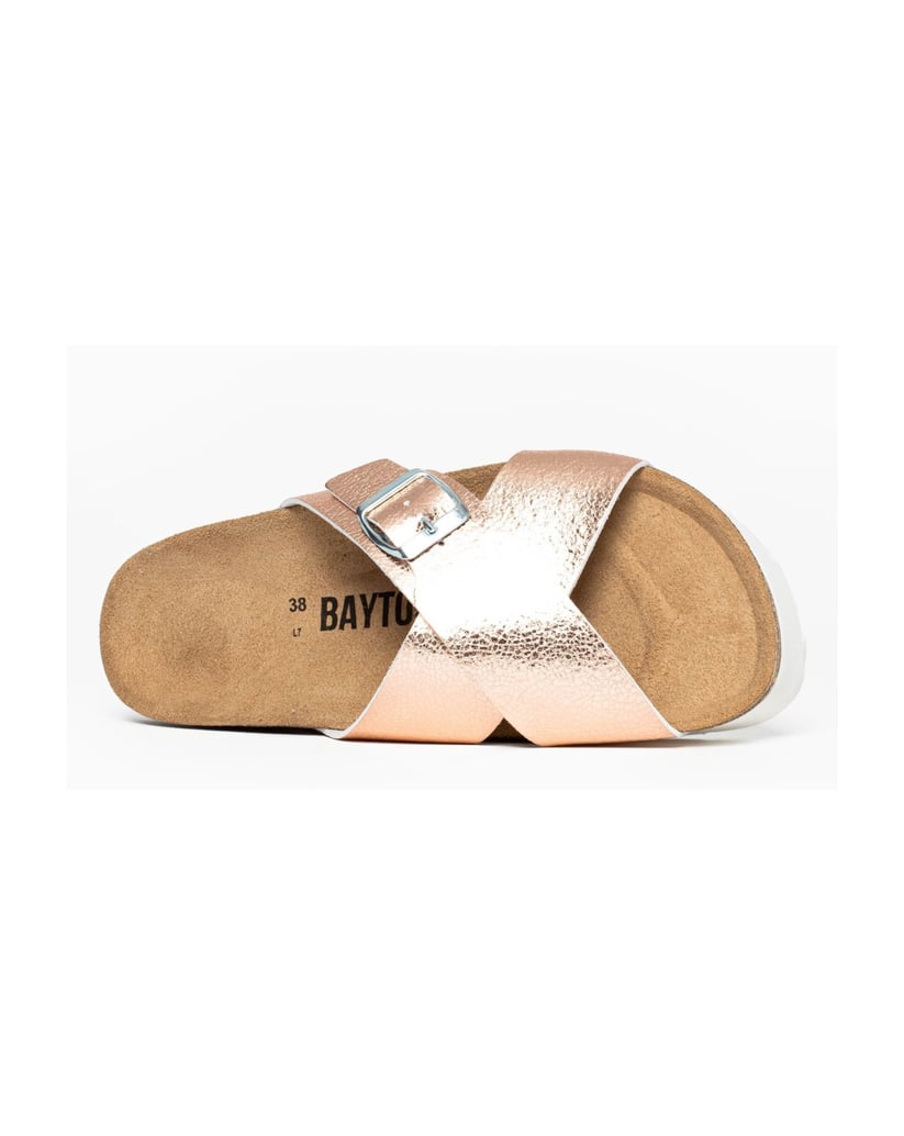 Bayton-Ajax-mules-gold