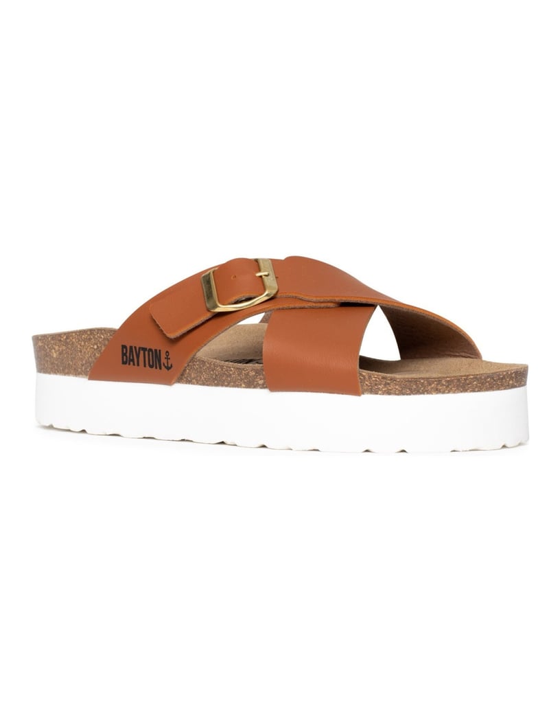 Bayton-Ajax-mules-gold