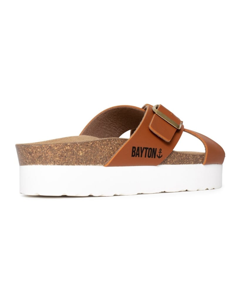 Bayton-Ajax-mules-gold