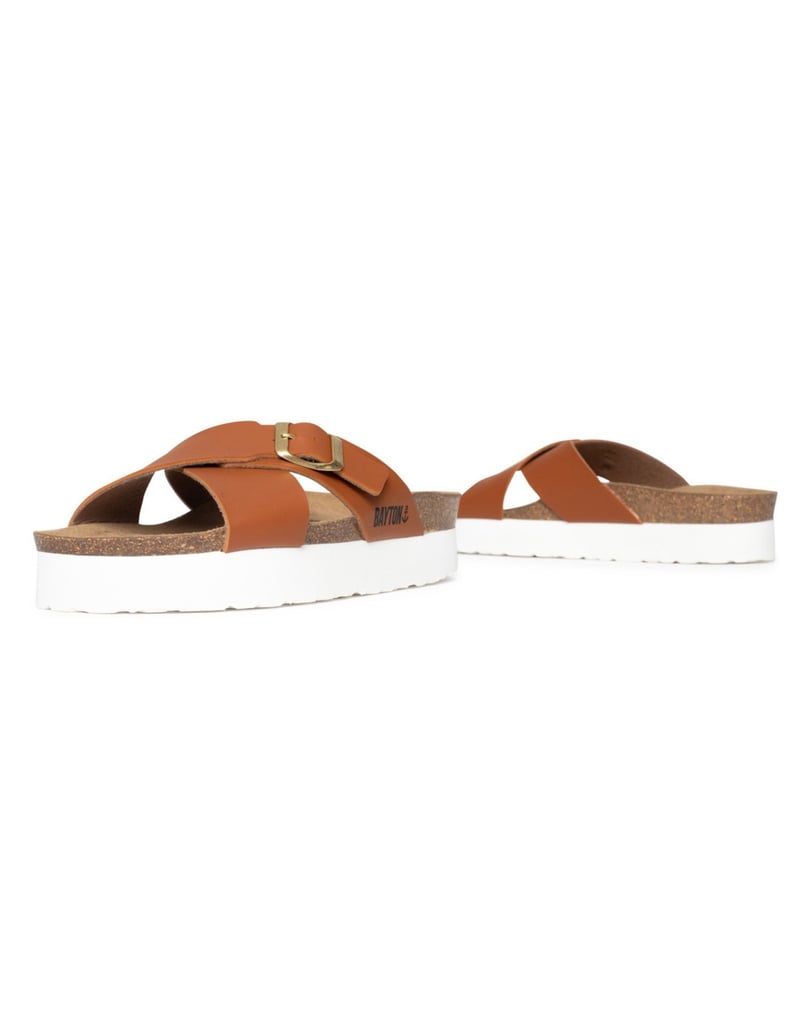 Bayton-Ajax-mules-gold
