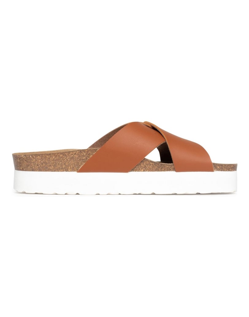 Bayton-Ajax-mules-gold