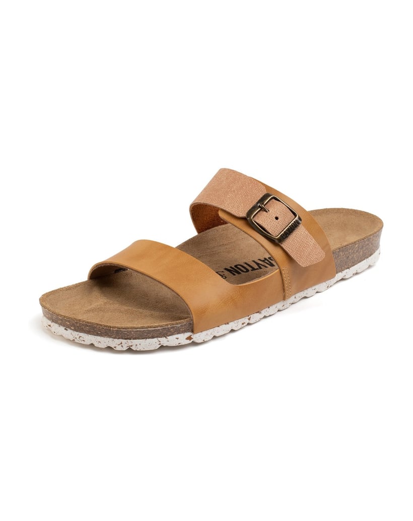 Bayton-Maultiere-Guirec-camel-