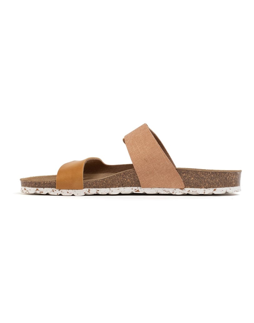 Bayton-Maultiere-Guirec-camel-