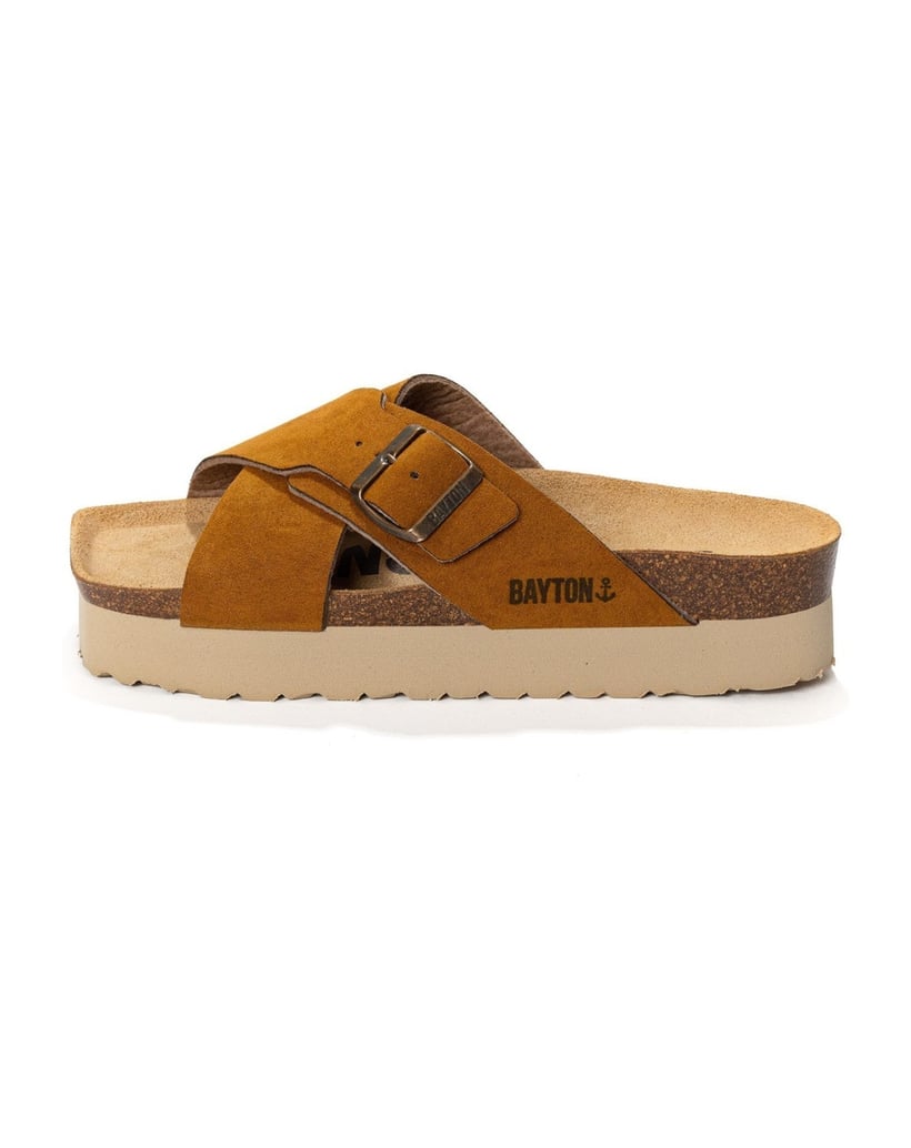 Bayton-Mules-woman-Ajax-camel