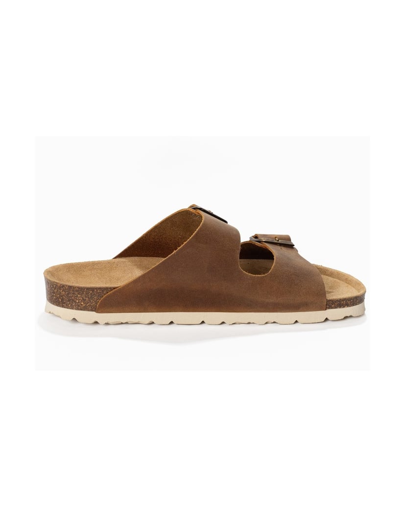 Bayton-Mules-men-Atlas-camel-