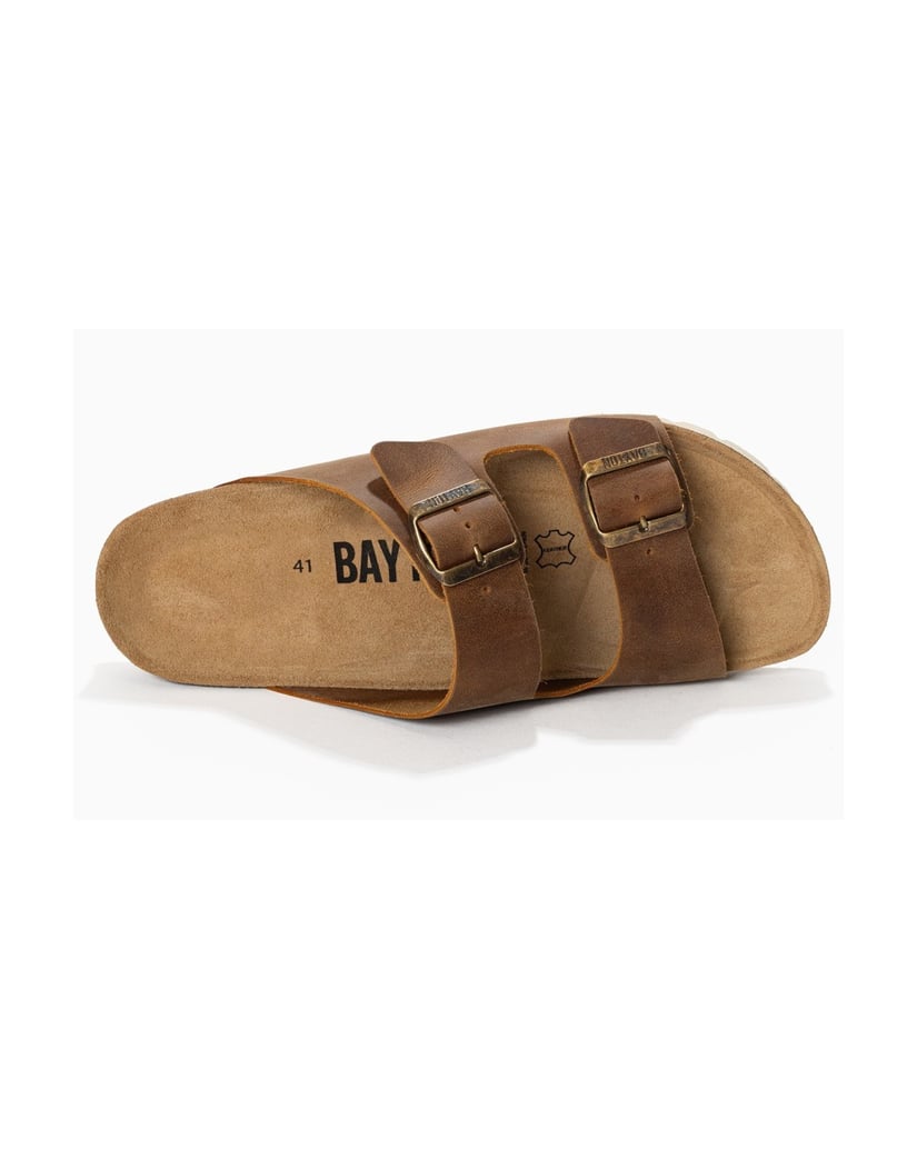 Bayton-Mules-men-Atlas-camel-