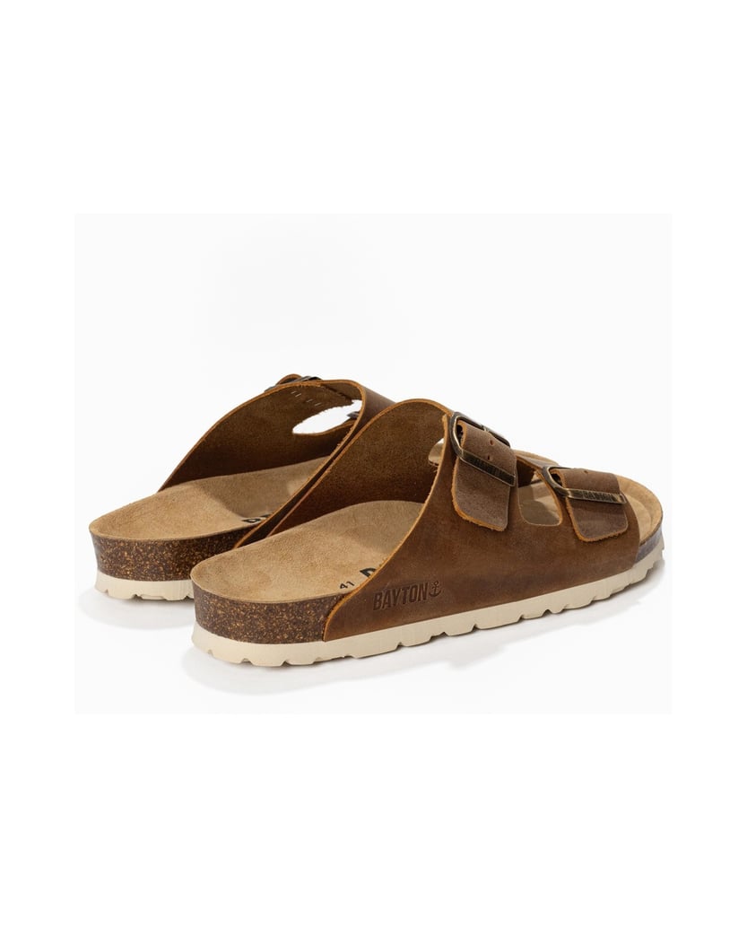 Bayton-Mules-men-Atlas-camel-