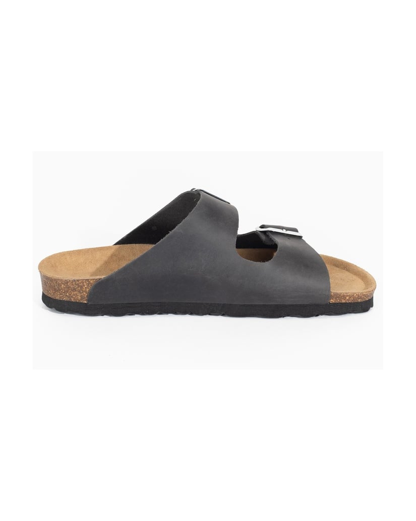 Bayton-Mules-men-Atlas-camel-