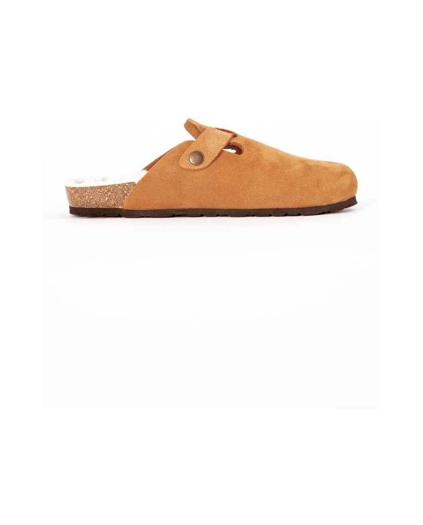 Bayton-Moke-camel