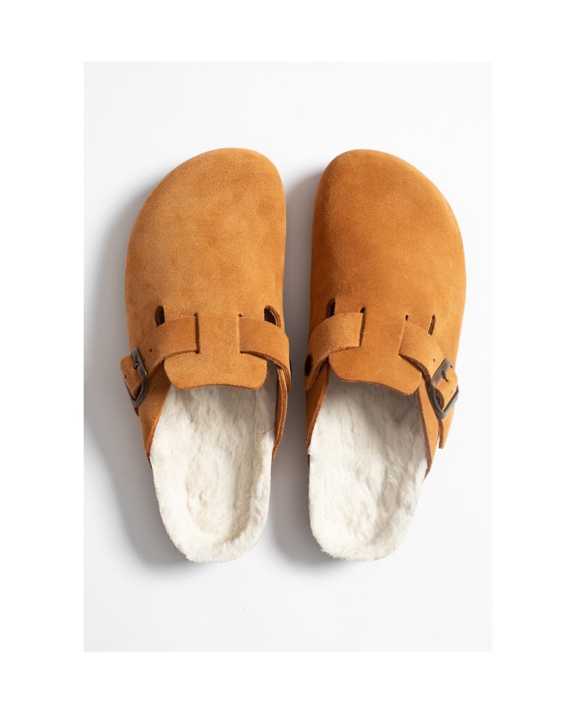 Bayton-Moke-camel