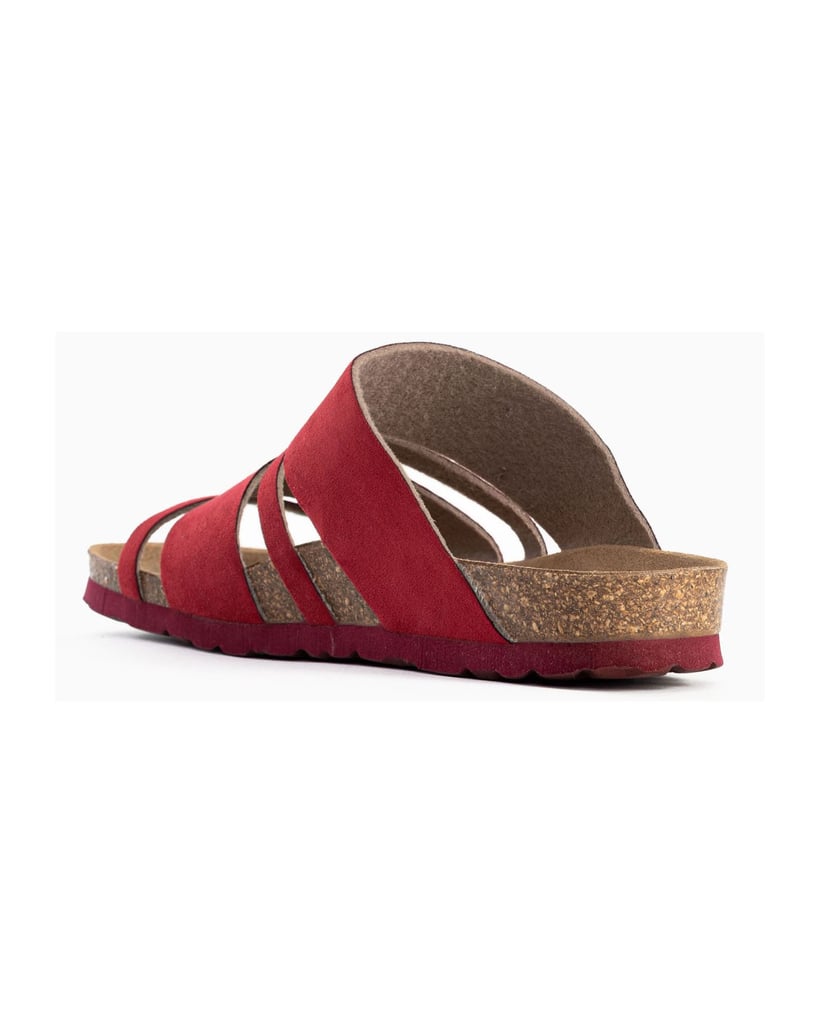 Bayton-Mules-Leiria-rot