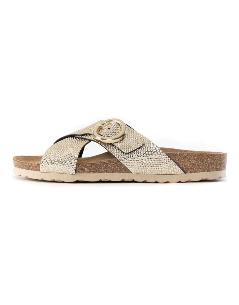 Bayton-DUSHAN-gold