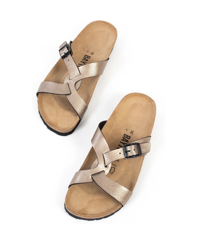 Bayton-Maultiere-Sebastian-camel
