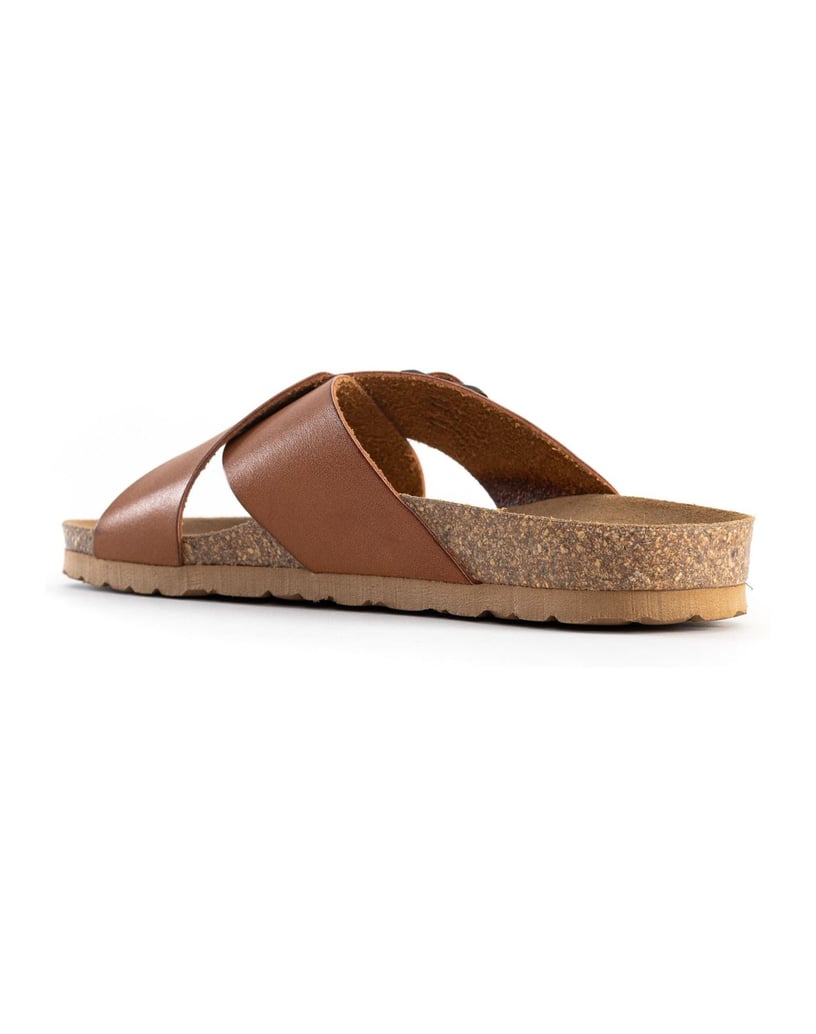 Bayton-Maultiere-Sarria-camel-