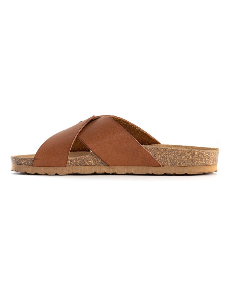 Bayton-Maultiere-Sarria-camel-