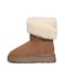 braun