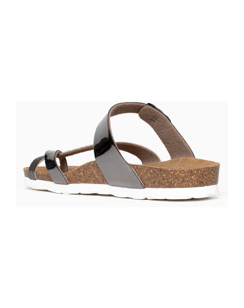 Bayton-Mules-Diane-schwarz