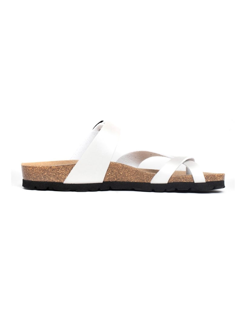 Bayton-Mules-Diane-schwarz