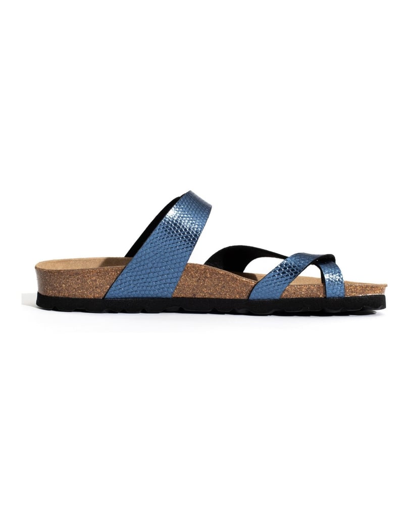 Bayton-Mules-Diane-schwarz