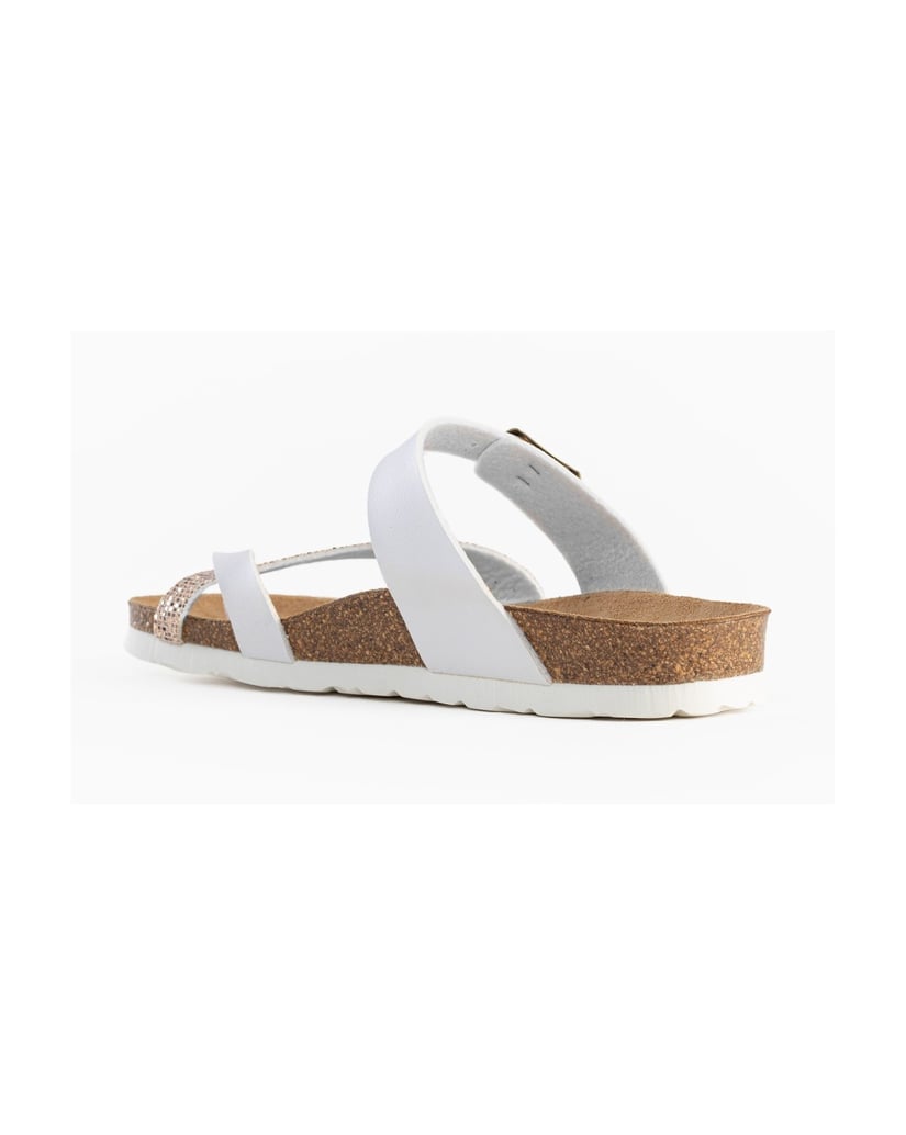 Bayton-Mules-Diane-schwarz