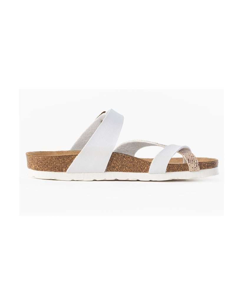 Bayton-Mules-Diane-schwarz