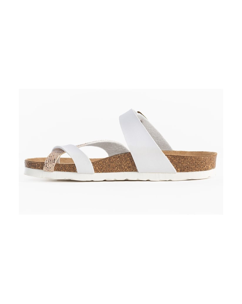 Bayton-Mules-Diane-schwarz