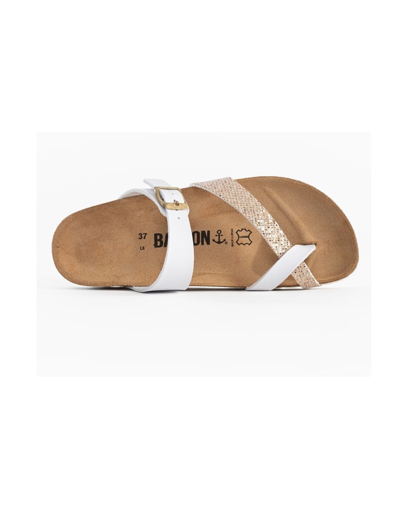 Bayton-Mules-Diane-schwarz