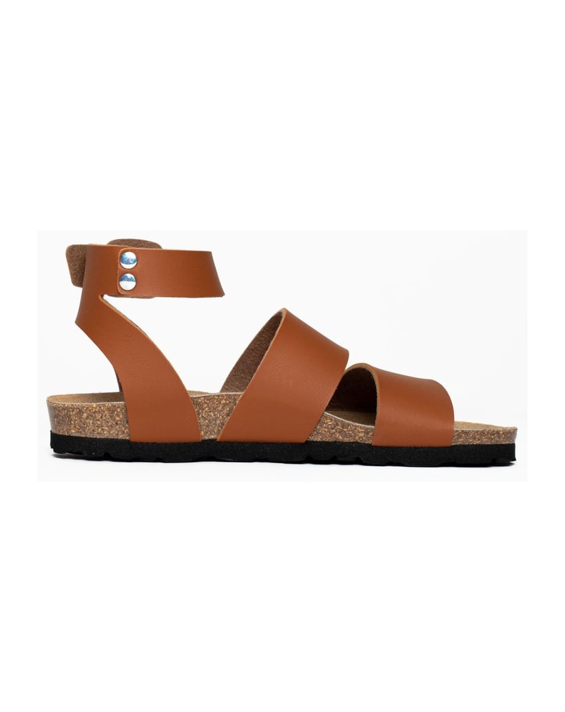 Bayton-Mules-Soria-schwarz