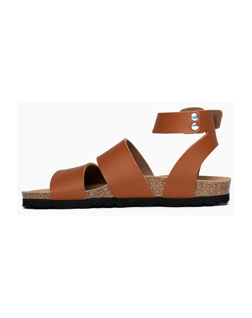Bayton-Mules-Soria-schwarz