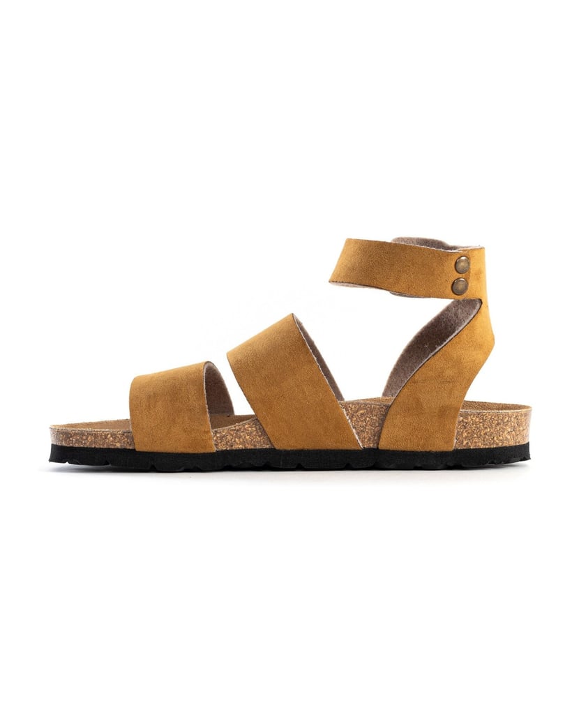 Bayton-Mules-Soria-schwarz